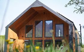 Alpine Chalet